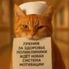 Премия за здоровье: поликлиники ждёт новая система мотивации